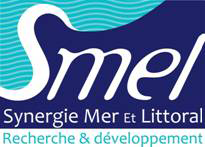 Logo Smel