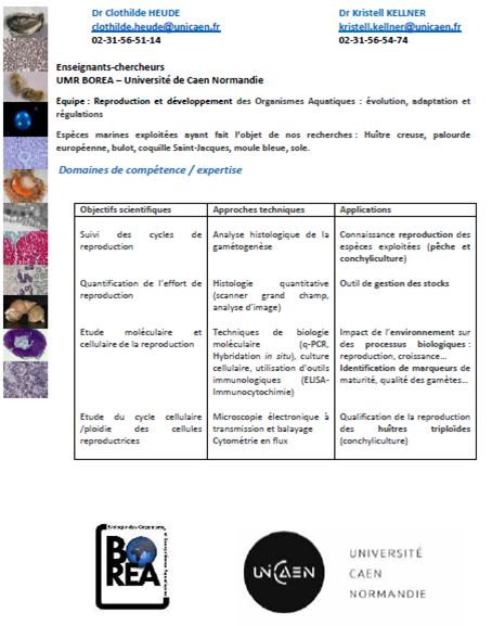 Partenaire bivalves