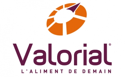 Valorial